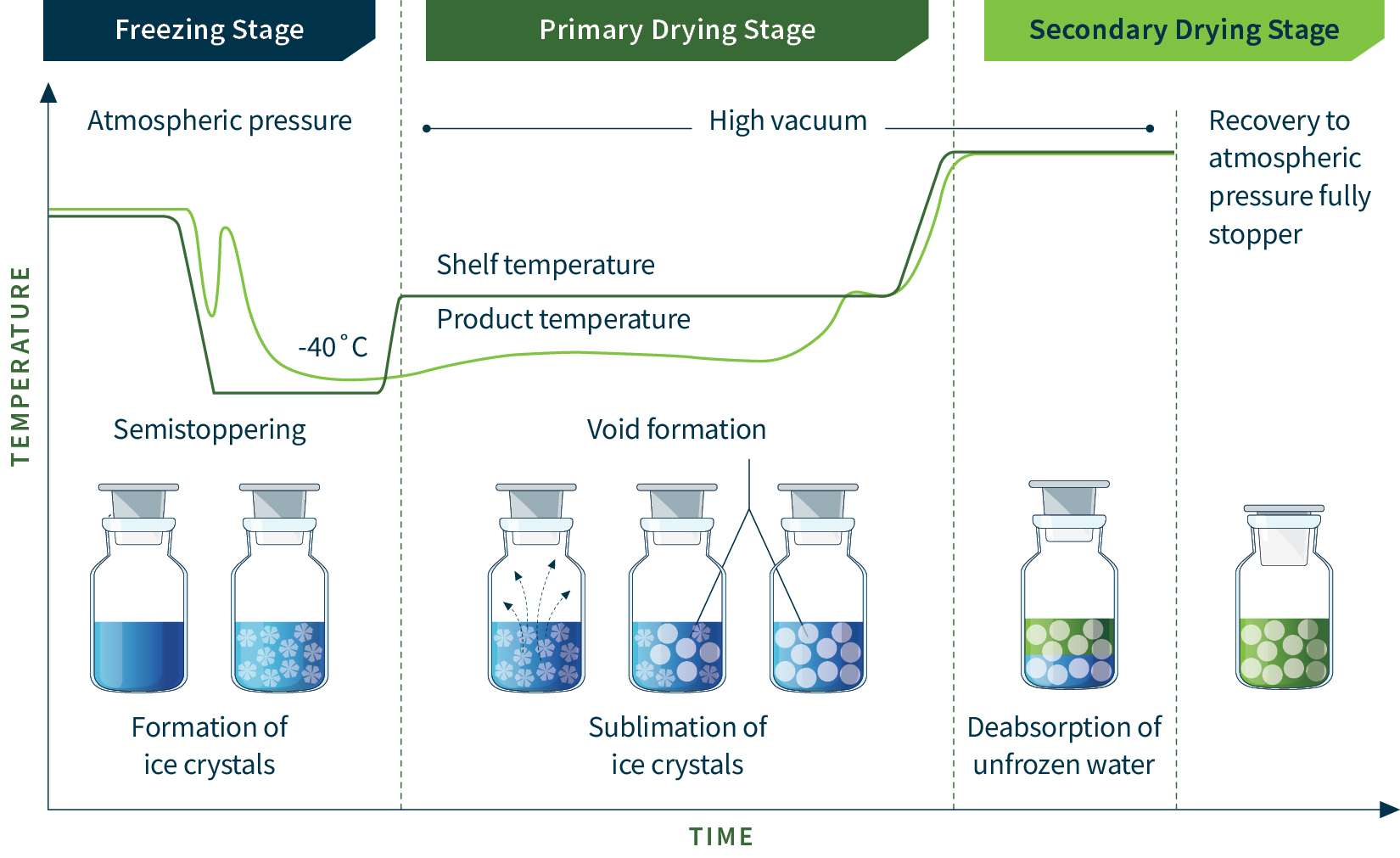 A temperature vs time graph depicting the 3 stages of the lyophilization cycle, freezing stage, primary drying phae, and secondary drying phase.